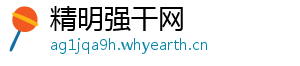 精明强干网